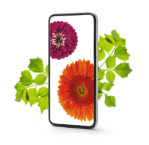 Phone Flower